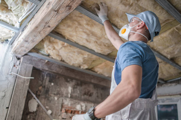 Types of Insulation We Offer in Whiteville, TN