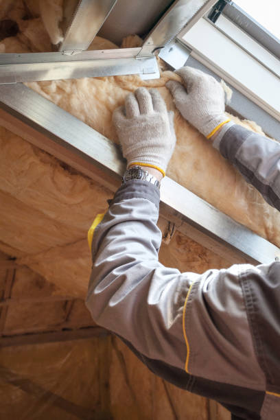 Best Insulation Maintenance and Repair in Whiteville, TN