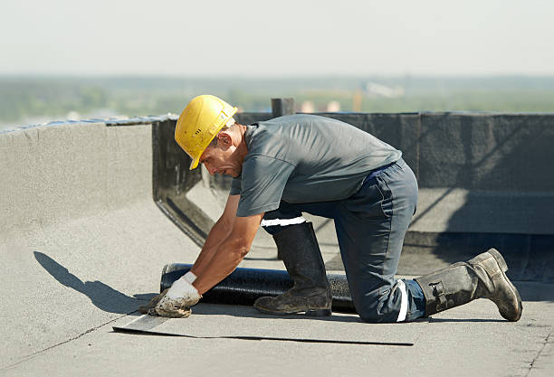 Best Specialized Insulation Services in Whiteville, TN