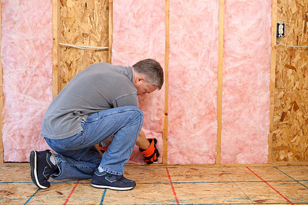 Best Specialized Insulation Services in Whiteville, TN